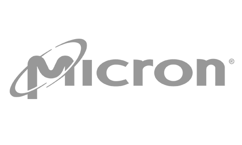 Micron Logo